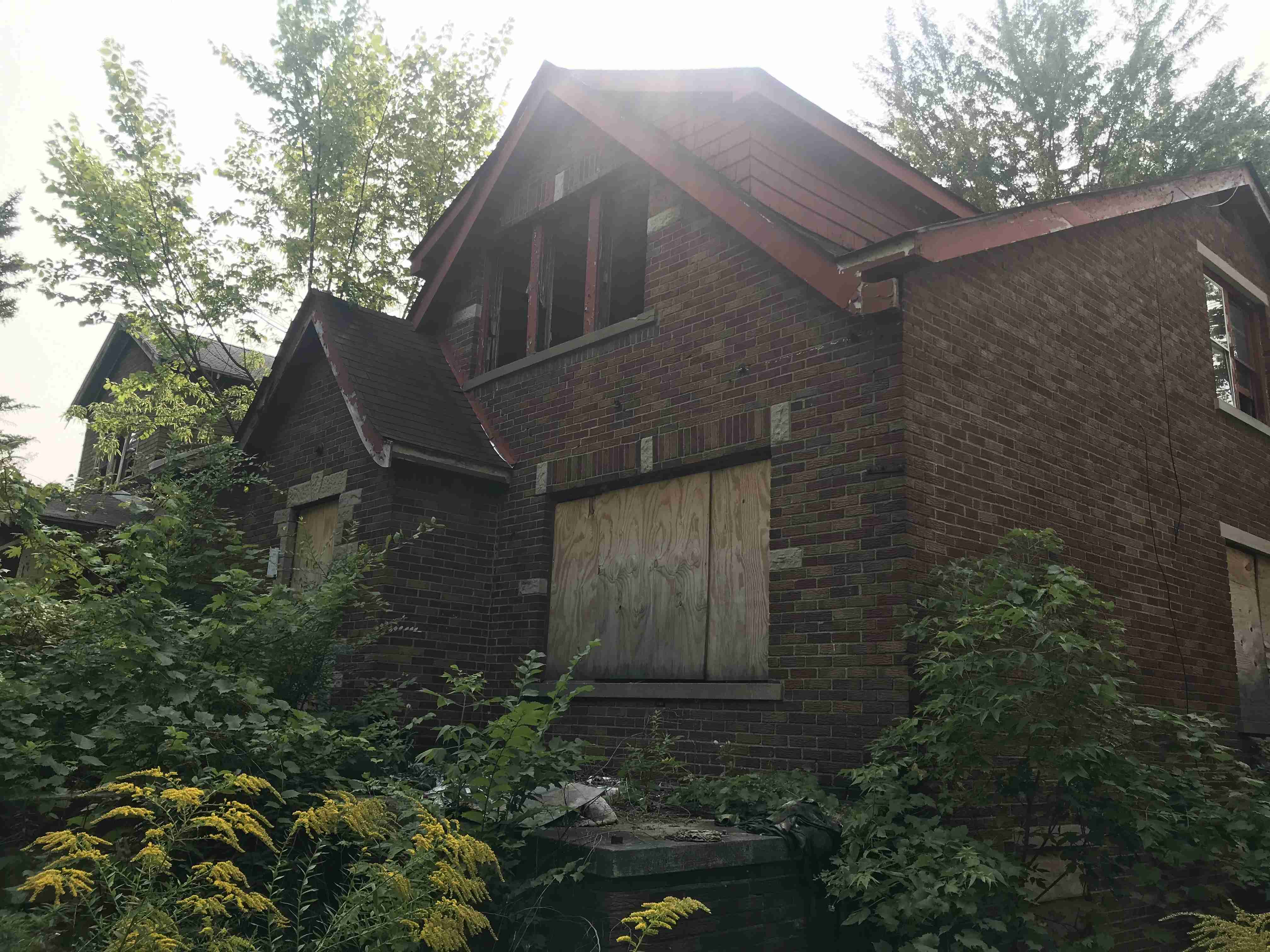 Photo Sep 15, 3 24 37 PM (1).jpg